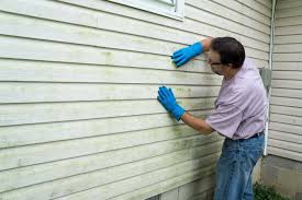 Best Siding Painting and Refinishing  in Panama City Beach, FL